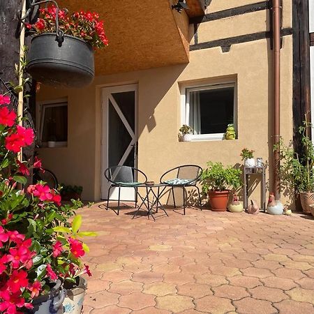 Zewwelatreppler - La Grange Aux Petits Oignons - Chambre Rainette ซิลิสตาต์ ภายนอก รูปภาพ
