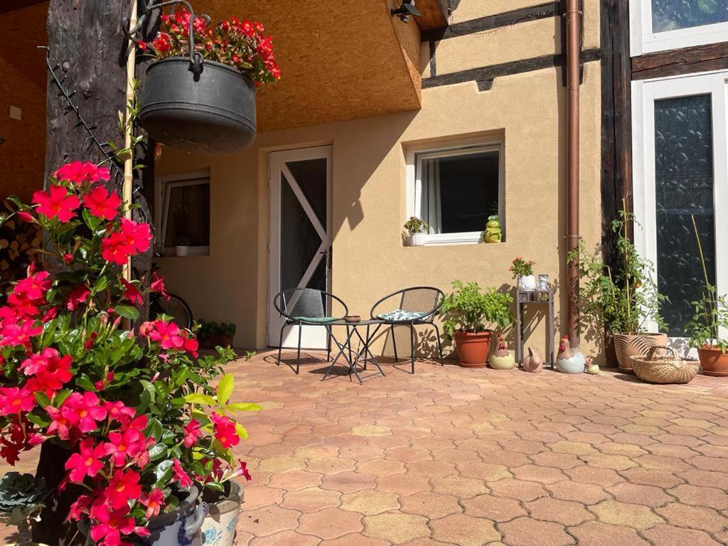 Zewwelatreppler - La Grange Aux Petits Oignons - Chambre Rainette ซิลิสตาต์ ภายนอก รูปภาพ