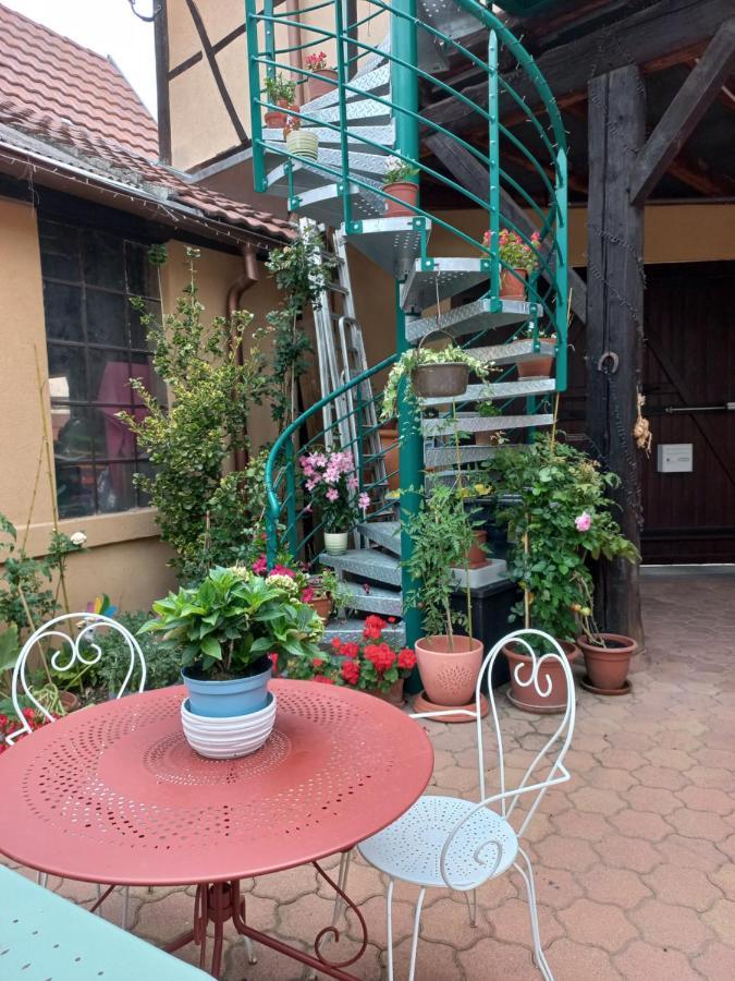 Zewwelatreppler - La Grange Aux Petits Oignons - Chambre Rainette ซิลิสตาต์ ภายนอก รูปภาพ